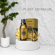 EELHOE - Ginger Essential Oil